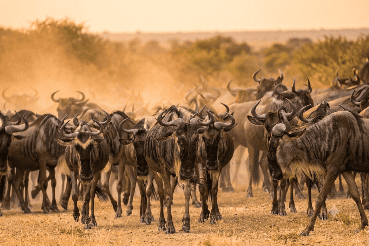 Paisaje de Tanzania
